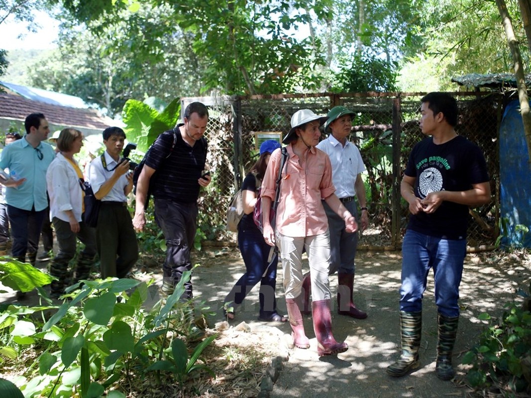 Nu Bo truong My gian di di tham Vuon quoc gia Cuc Phuong-Hinh-11